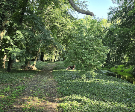 An der Temnitz im Park des Gutshofes