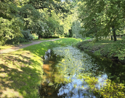 Abkühlung für die Hunde in der Temnitz