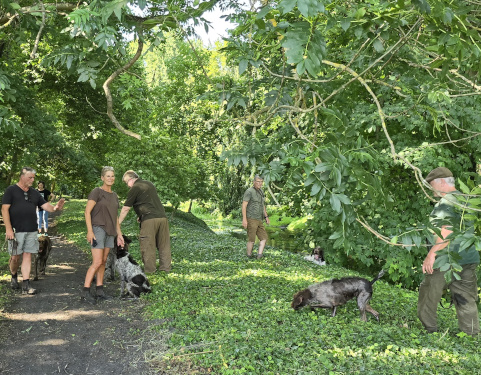 Reviergang durch die Parkanlagen des Schloßes an der Temnitz