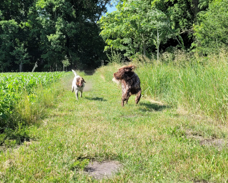 Reviergang durch die Parkanlagen des Gutshofes 