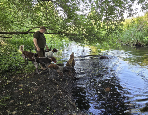 Reviergang durch die Parkanlagen des Schloßes an der Temnitz mit Badespass für die Hunde
