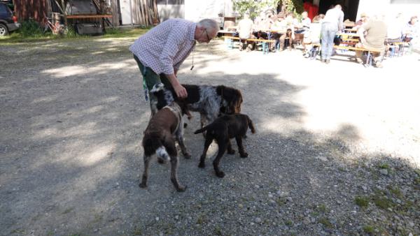 Impressionen-DSt-Treffen-Süd-4