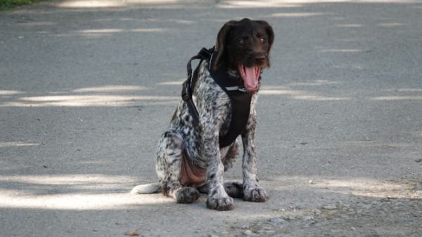 Impressionen-DSt-Treffen-Süd-8