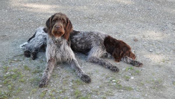 Impressionen-DSt-Treffen-Süd-9