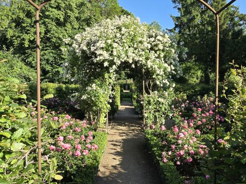 Reviergang durch die Parkanlagen des Gutshofes 